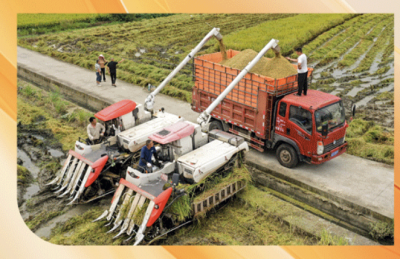 时政微观察丨丰收时节感悟总书记的“三农”情怀