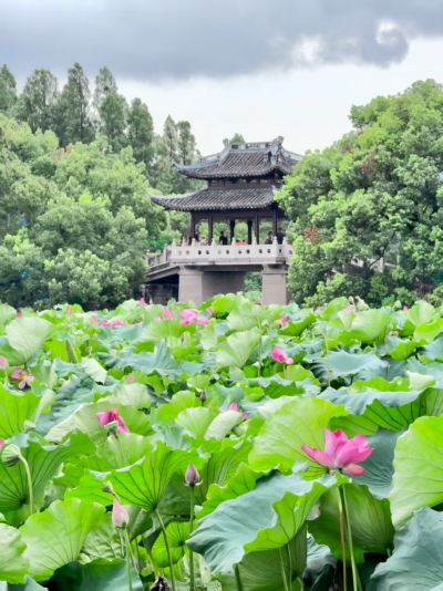 徐锐兵 | 丰顺民间故事二则