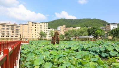 三年攻坚实现多点突破！蕉岭新铺镇积极探索山区镇高质量发展新路径