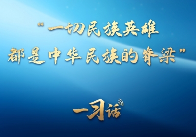 一习话丨“一切民族英雄，都是中华民族的脊梁”