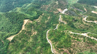 种千亩漆树 建绿色银行！蕉岭县广福镇推动生态保护与乡村发展同频共振绿富双赢 
