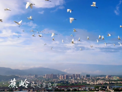 蕉岭法院2部新媒体作品获省级奖项！