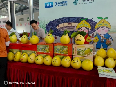 中国邮政集团有限公司梅州市分公司与瑞众保险广东分公司成功举办“乡村振兴梅州双柚工程”活动