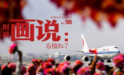 时政画说丨石榴红了