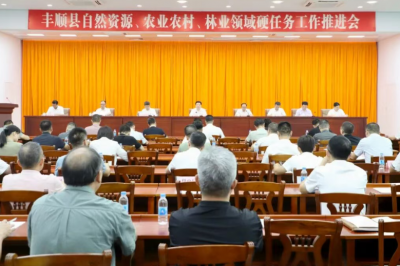 丰顺县召开专题会议研究全县自然资源、农业农村、林业领域重点工作