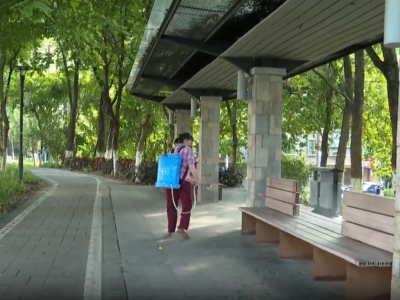 织密群众健康防护网！城区公园全面开展蚊虫消杀 