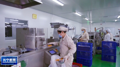 从1889到2025！兴宁这家百年药企“遵古创新”为百姓做好药