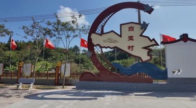 全力开展防蚊灭蚊及环境卫生整治，村容村貌也焕新颜！