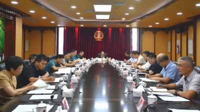 市人大常委会召开党组会议：推进新时代人大工作提质增效