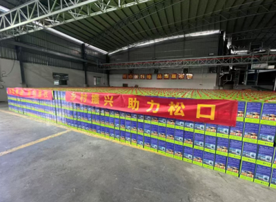 驻梅县区松口镇工作队：消费帮扶多管齐下，铜琶村蜜柚畅销大湾区