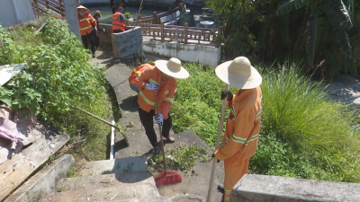 全面织牢织密基孔肯雅热疫情防控网，蕉岭在行动！