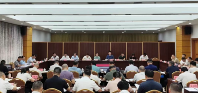 兴宁市政府党组（扩大）会议和市政府常务会议召开