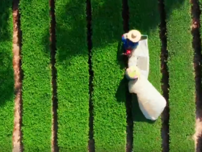 梅江区：秋茶飘香采摘忙 特色产业促增收