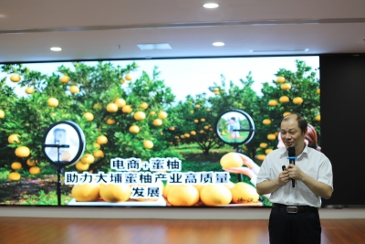 人才科技双赋能，激活大埔蜜柚产业新活力！