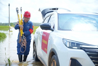 点亮台风过后的“希望之光”！梅州供电局千里驰援湛江雷州抗灾复电抢修