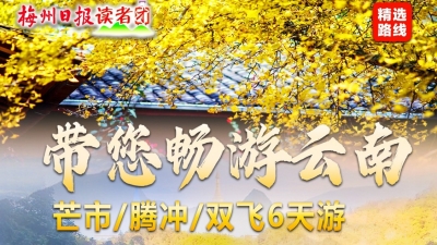 腾冲秋天的 “金色海洋” 太治愈！跟着读者团逛腾冲、瑞丽、芒市，邂逅滇西之秋