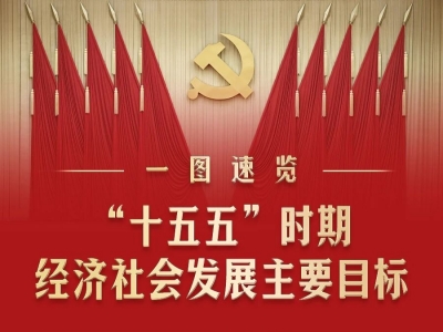 “十五五”主要目标！