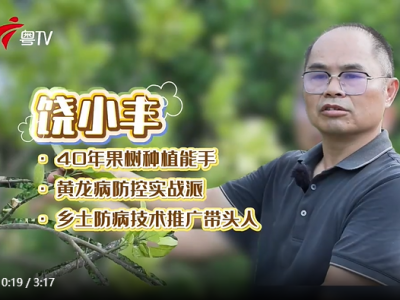 40载守护“降龙” 只为满山柚香——饶小丰｜乡村能人·梅州