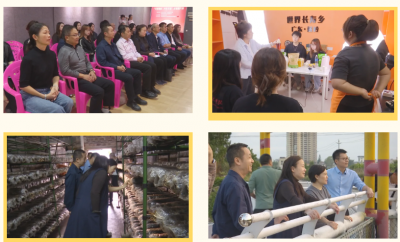 星海音乐学院一行到蕉岭调研“双百行动”及乡村振兴驻镇帮扶工作