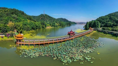 林和城相依 林和人相融！梅州高质量推进郊野公园建设厚植生态发展优势