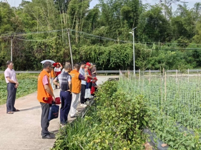 政策学习+现场取经！科技特派员下乡充电忙→