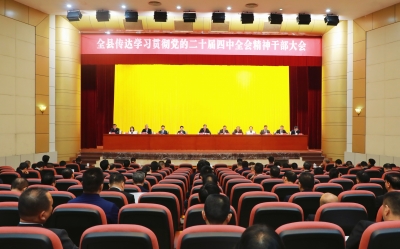 大埔县传达学习贯彻党的二十届四中全会精神干部大会召开