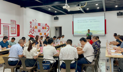 凝心聚智谋发展！“智汇乡村·助力振兴”活动（丰顺专场）举行