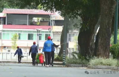 平远县严抓虫媒传染病防控 筑牢公共卫生安全防线