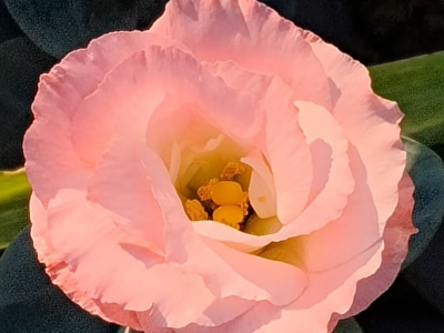 生活，就是文学