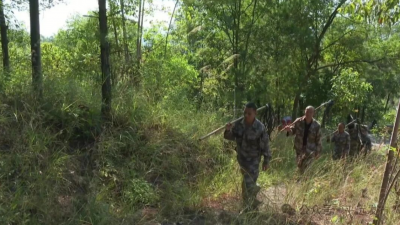 假日“不打烊”！他们，守护平远青山绿更浓 