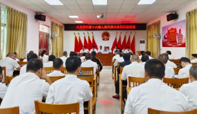 丰顺县大龙华镇第十六届人民代表大会第九次会议召开