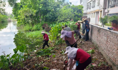 梅州市各镇、街道积极做好蚊媒传染病防控工作：多措并举筑牢基层“第一道防线”