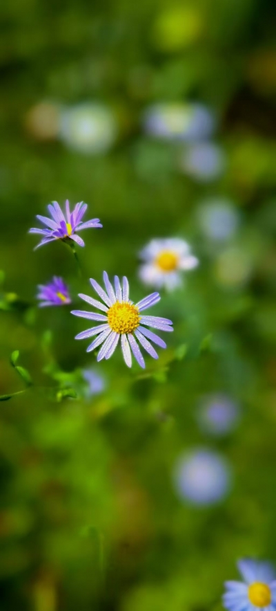 刘礼达 | 争•上下•软硬