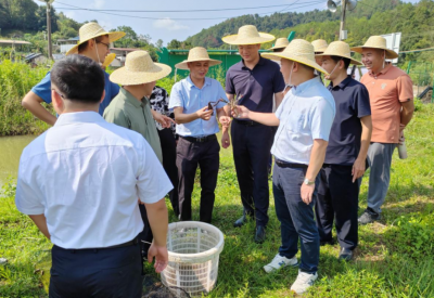 驻梅州市梅县区白渡镇工作队：荔湾区站前街道赴白渡镇走访，共谋双向奔赴新篇章