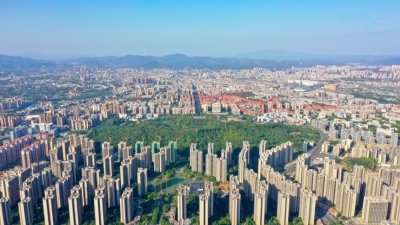 梅县区前三季度经济数据亮眼！地区生产总值同比增长8.8%  增速居全市第一、全省第三