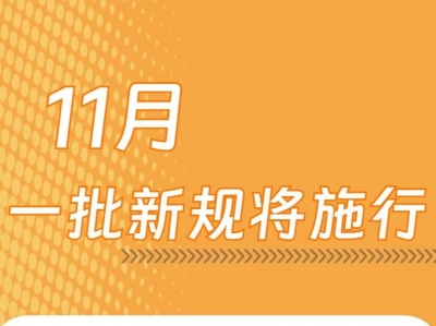 11月，一批新规将施行