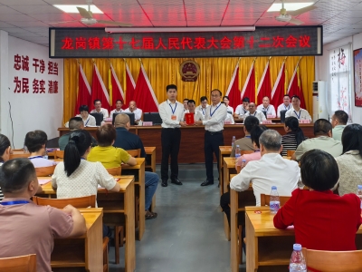 曾奕伟当选丰顺县龙岗镇副镇长