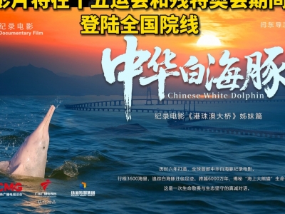 第四届华语纪录电影大会《中华白海豚》获科学自然类推荐作品