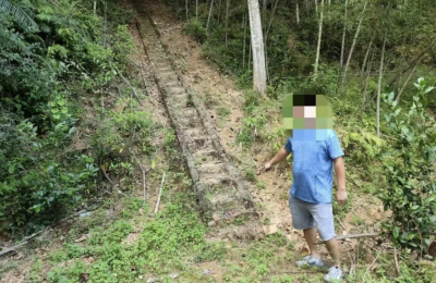 不要“搞野味”！猎套误杀万元种羊，蕉岭警方揪出始作俑者...