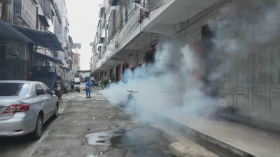 梅县区水车镇扎实开展爱国卫生运动，筑牢群众健康“防护墙”！