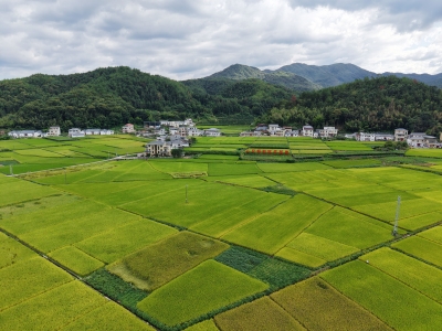 巧用腾挪术 点土能成金 ！平远县加速加力推进全域土地综合整治 