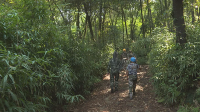 穿梭崇山峻岭，他们以脚步筑牢森林“防火线”！