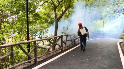 丰顺县市政部门双管齐下强化公园蚊虫防控