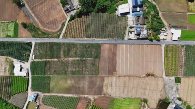 梅县区白渡镇悦一村：荒地变宝地 激发新“活”力