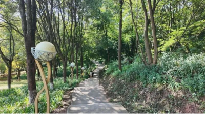 与绿相融，与景共生！梅县区全力打造绿美广东生态建设梅县样板