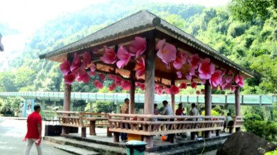 丰顺：文明旅游理念扎根 游客共护生态之美