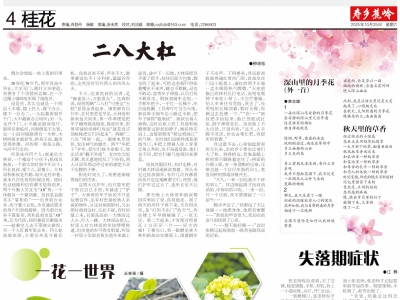 寿乡蕉岭·桂花