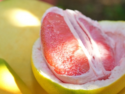 年产值超65亿元，挡不住的梅州“柚”惑！