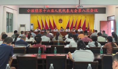 李长江当选为丰顺县小胜镇副镇长