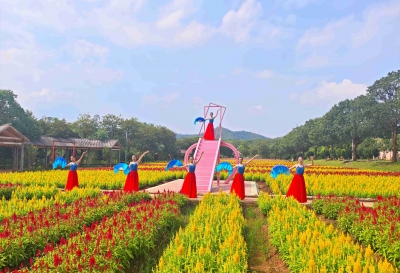 平远：多彩活动庆双节 乐享假期好时光